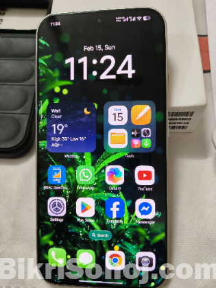 Xiaomi 17 pro max